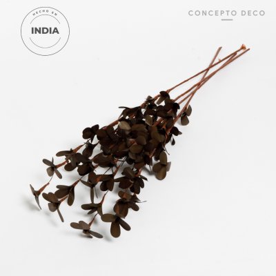FLORES SECAS BOUQUET RUD STICK SPECIAL BROWN 82CM